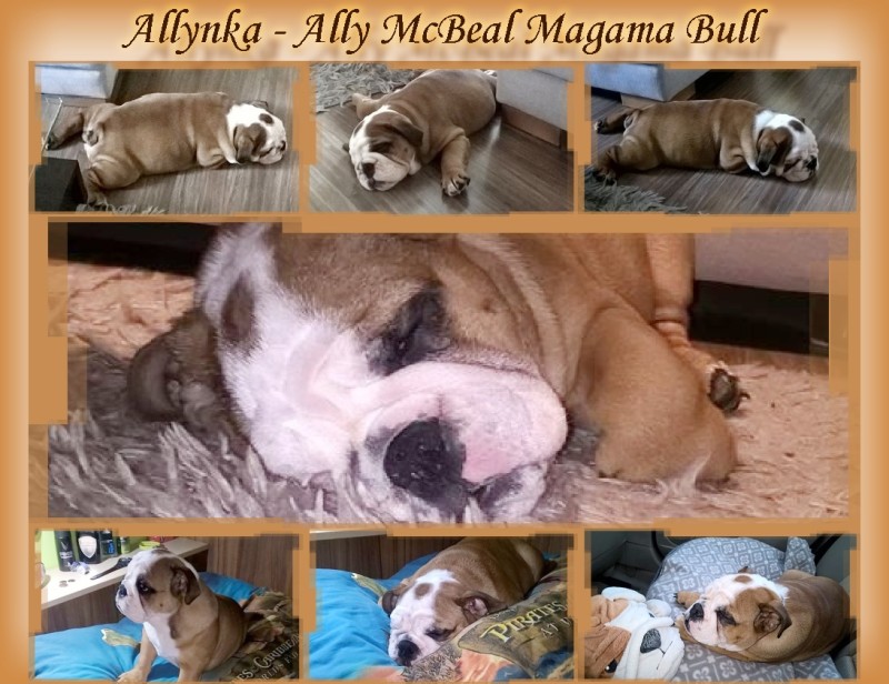 Ally McBeal